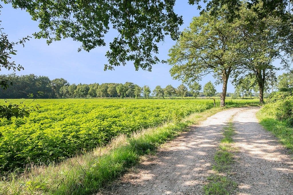 Vrijstaande bungalow te huur!